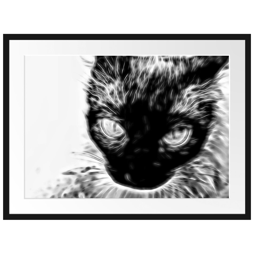 Gerahmtes Poster Schwarze Katze, blaue Augen