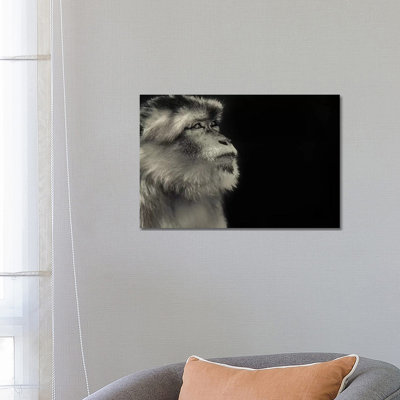 Monkey 1 Piece Wrapped Canvas Wall Art