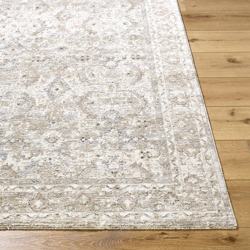Arghira Traditional Machine Woven Area Rug, Rectangle 2' x 2'11"
