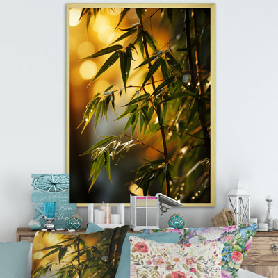 " Bamboo Sunset Photography I "