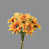 C est en rupture de stock sélectionné