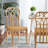 Bergur Rattan Side Chair in Oak