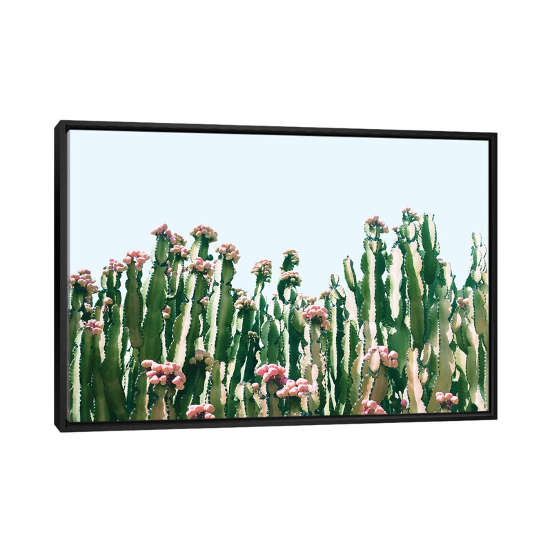 Cactus Blush - impression sur toile tendue, H 18 po x l 26 po x P 1,5 po, Toile avec cadre noir, Pas de tapis