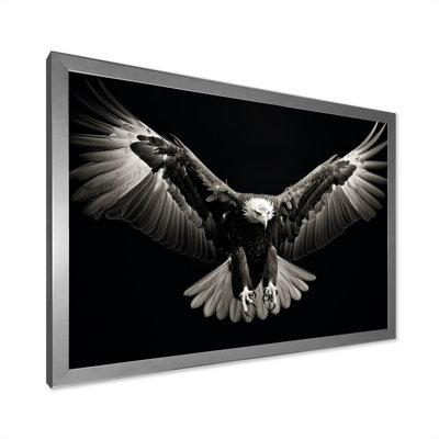 " Bold Eagle Power Hunter IV "