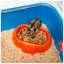 Hamster Cage