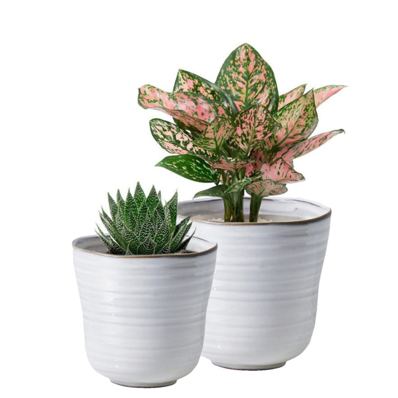 Kaithleen Ceramic Pot Planter