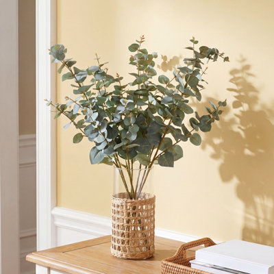 Brume d'eucalyptus Anelis