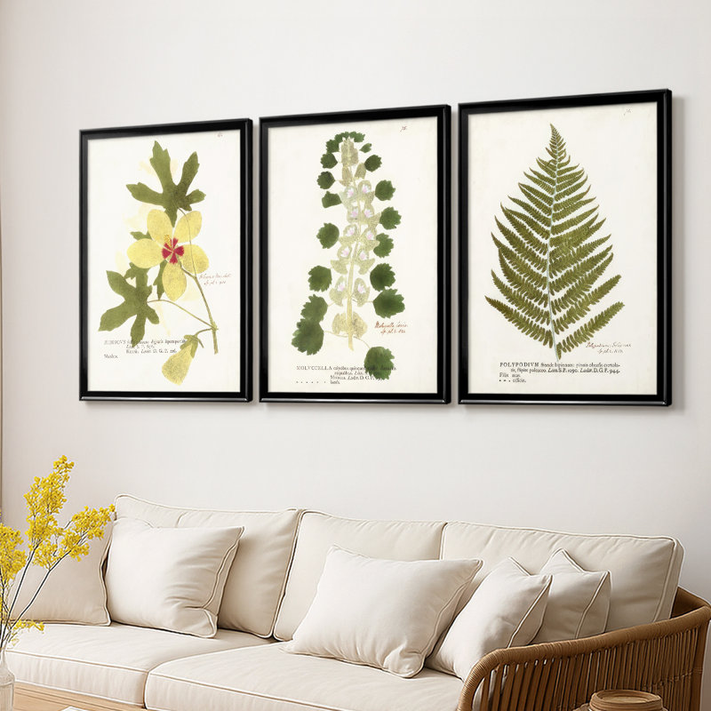 Nature Printed Botanicals douzième - Toile tendue avec châssis sur mesure - 3 pièces, H 30 po x l 63 po, Noir