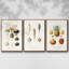 Ensemble de 3 fruits et légumes IV sur toile encadrée-97795013-97795016