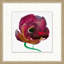 Floral Studies 7 Print