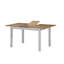 Racquel Rectangular Dining Table-27428441-50224493