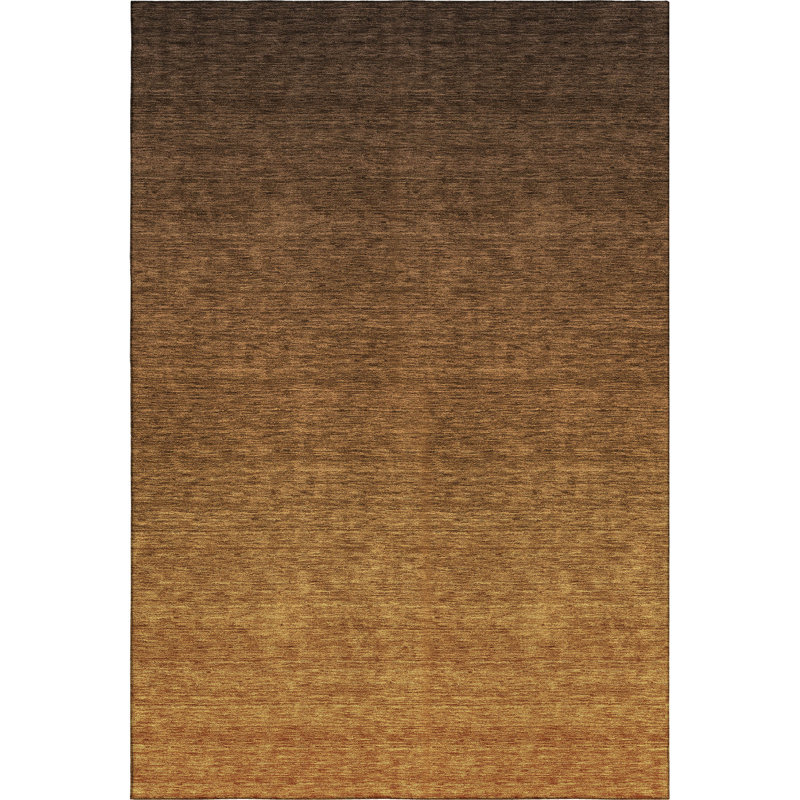 Premium Machine Washable Prisco Chocolate Rug, Rectangle 3' x 5'