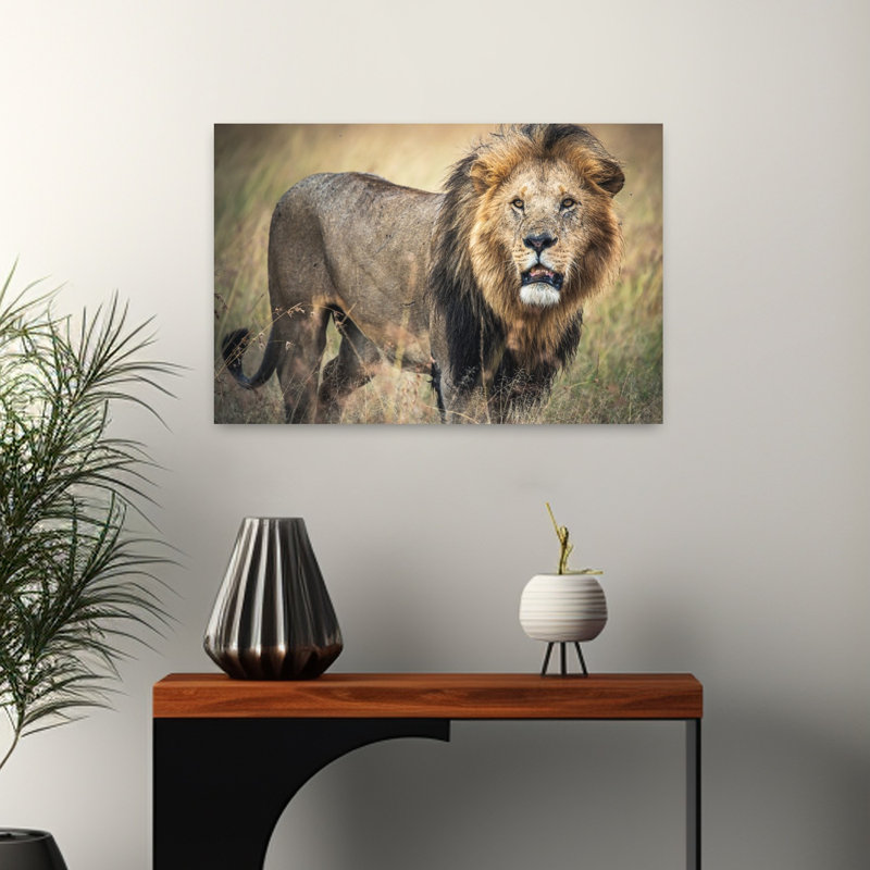 Majestic African Lion Contemporary Wall Art Print 1 Piece Wrapped Canvas Wall Art, 40.64cm H x 60.96cm W