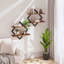 2 Piece Bracket Shelf-1165211349
