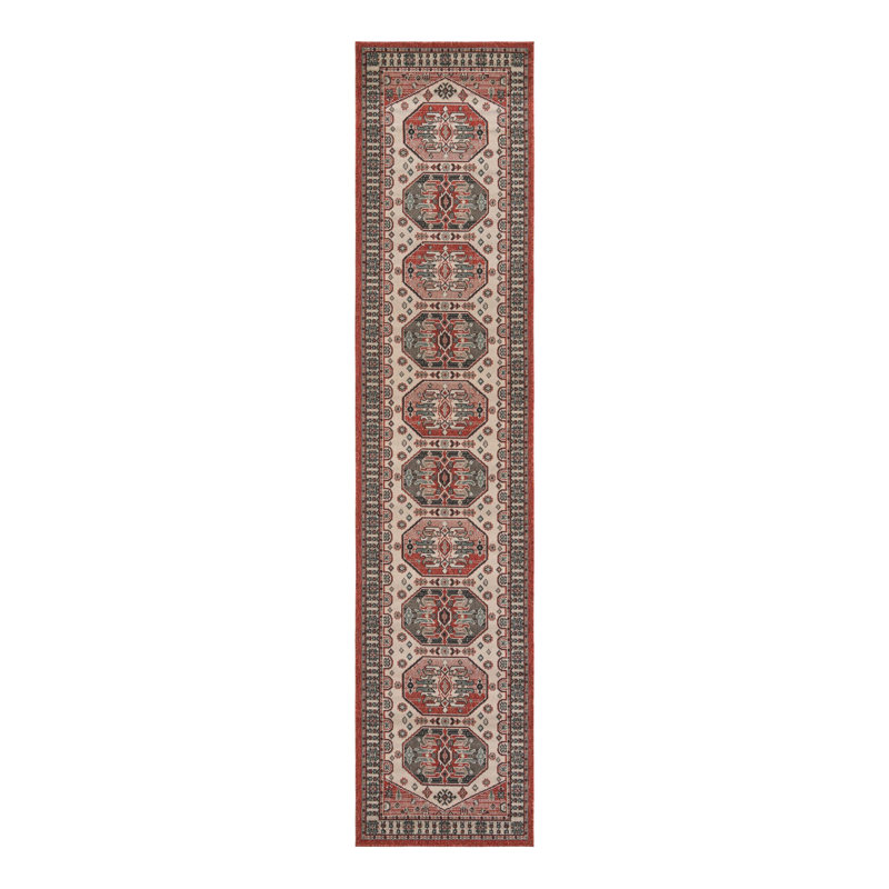Indoor/Outdoor Traditional Area Rug, Runner 2'7" x 12'