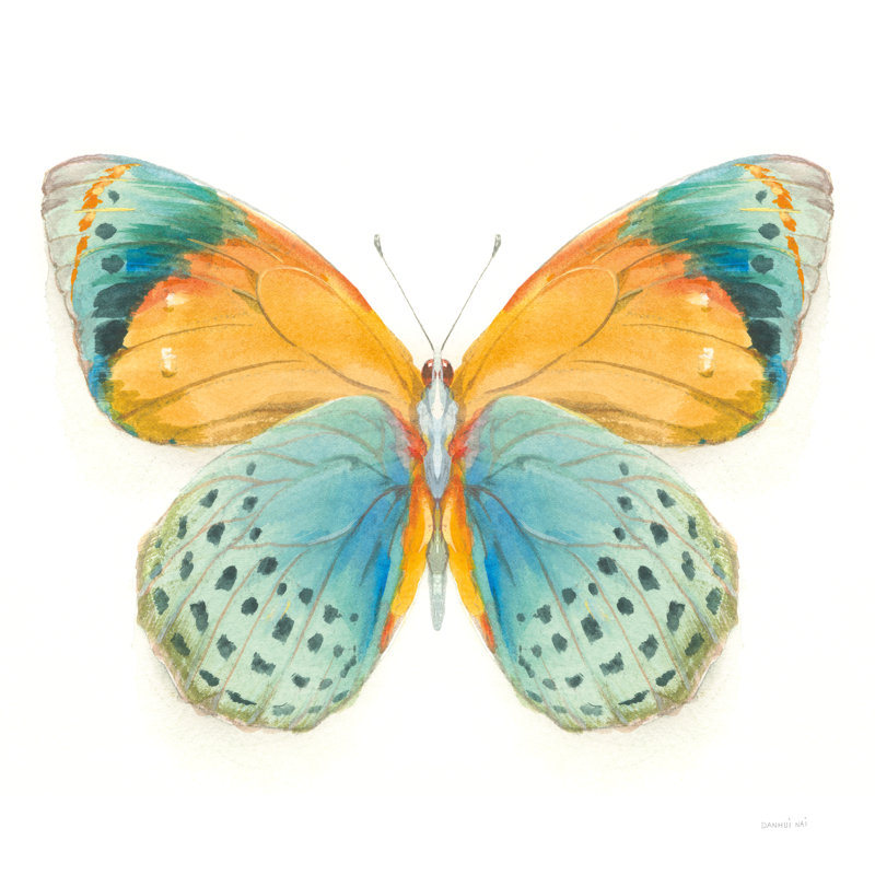 Fragile Wings Butterfly I by Danhui Nai - Wrapped Canvas Painting, 30cm H x 30cm W
