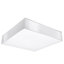 Taron Flush Mount-1733969080-1718602422