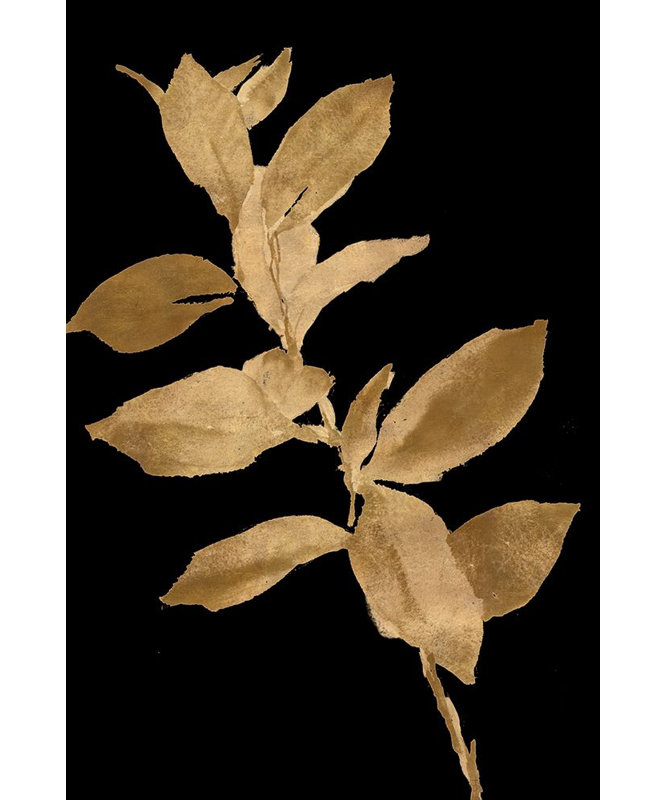 «Golden Leaves On Black I» par Lanie Loreth (24 X 36) 13617CG