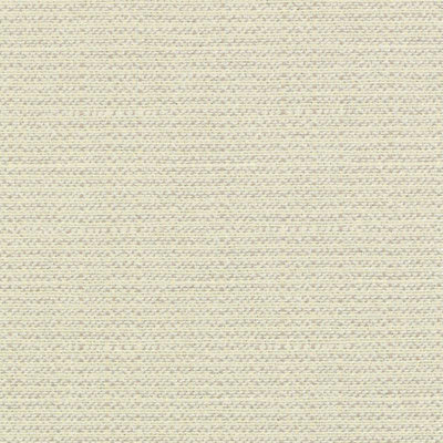 Crypton Home Wovens I Fabric