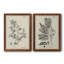 «Antique Black and White Botanical IV», ensemble de 2 reproductions d'art sur toile-1516307835-1516307834