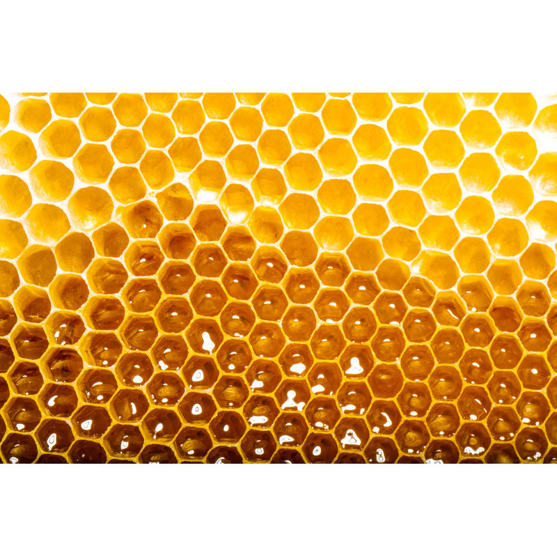 " Honeycomb " by Smaglov, 8" H x 12" W  