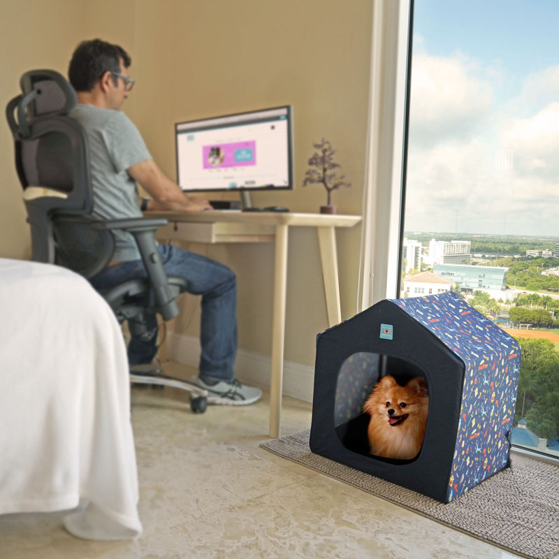 Caisse pour petits chiens et chats