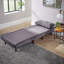 Lonara One Seater Upholstered Single Sofa Bed-1865704539