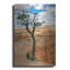«Utah Bryce Canyon Tree» par AKG-139804017