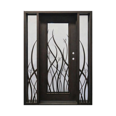 Wildflower Window Single Accented Iron Door