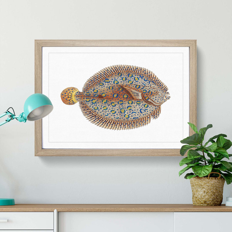 Argus Flounder Fish by George Shaw - Framed Print, 40cm H x 60cm W x 2cm D, Oak