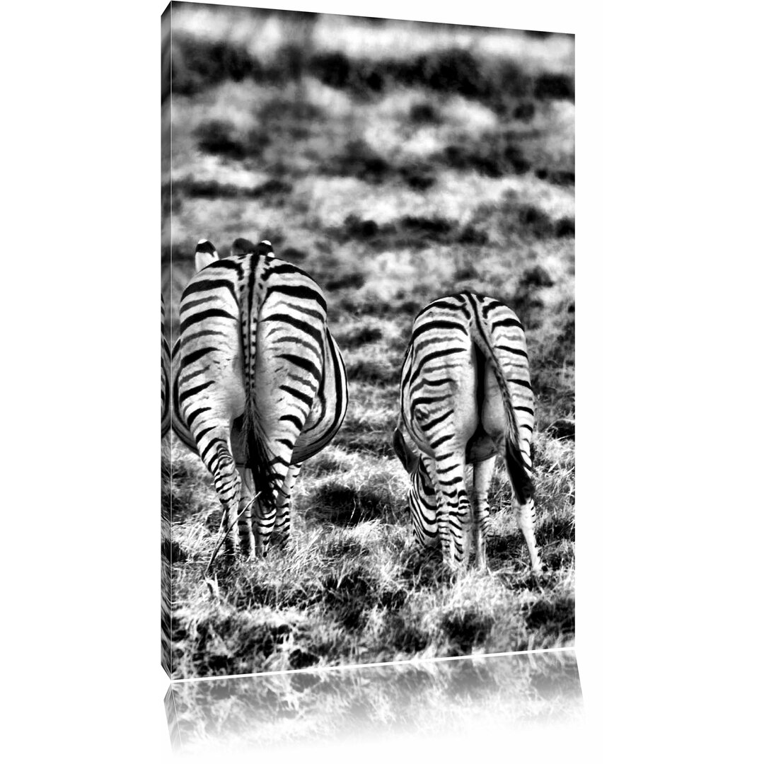 Leinwandbild Zebras mit weißen Vögeln in Monochrom