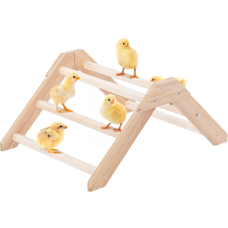 Prevent Rotation Chick Perch