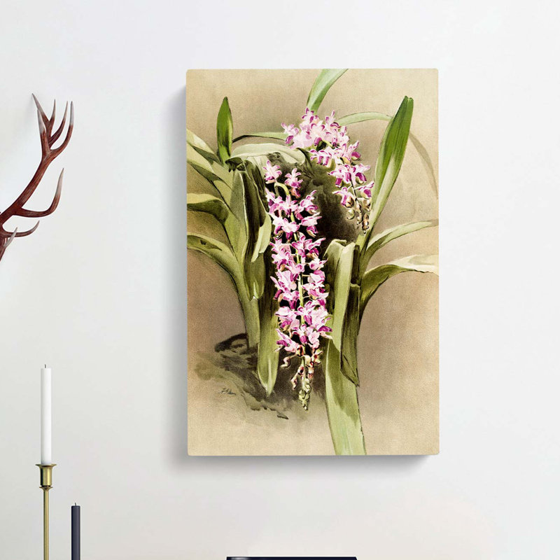 Magnolia Flowers Illustration Tab.81 by Frederick Sander - Wrapped Canvas Print, 50cm H x 35cm W x 3cm D
