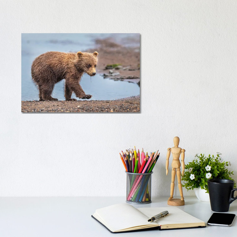 Oops' by Jeffrey C. Sink - Wrapped Canvas Print, 20.32 cm H x 30.48 cm W