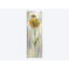 « single tige fleur iii » par silvia vassileva,, reproduction d’impression sur toile tendue-31500305-73275861