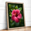 Hibiscus in Bloom Botanical - Framed Print-1358740168-1358740182
