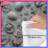 Nautical Anchors Shells Comforter-126746082