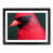 Black Framed selected