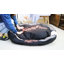 Pet Bed-90570749