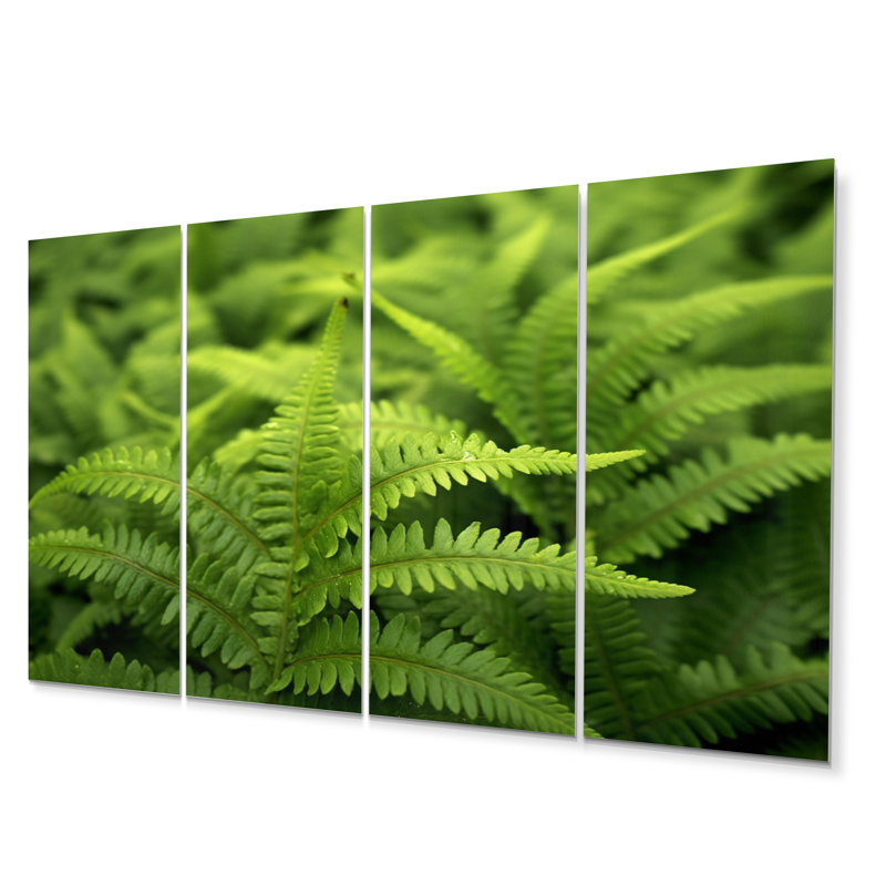 Plants & Flowers Wall Decor on Metal