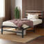 Lit Akitomo-21617973-65581051