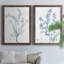 "Antique Botanical In Blue VII", ensemble de 2 peintures sur toile encadrées-1089950150-1089950149