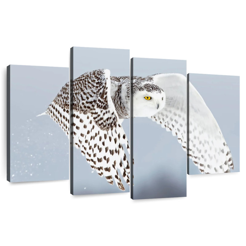 Harfang des neiges blanc Brampt