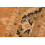 Tapis oriental rouille en laine noué à la main 8 pi 3 po x 10 pi 4 po Baccio
