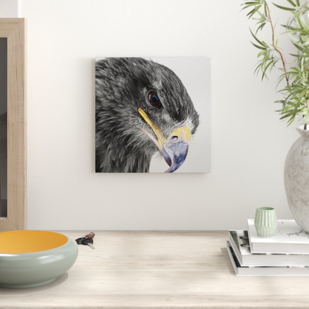 Leinwandbild Wunderschöner Adler im Portrait