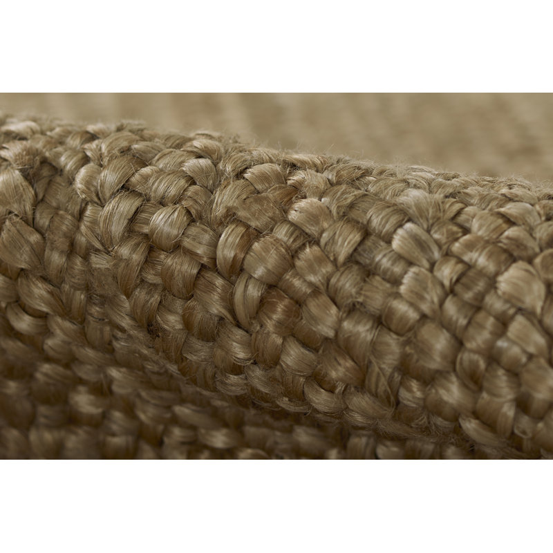 Jute / Sisal Area Rug in Brown, Rectangle 10' x 14', Brown