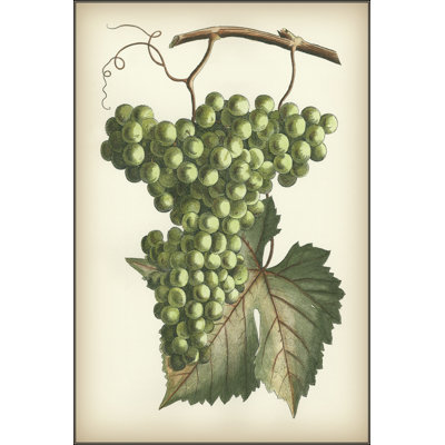 Grapes II 1 Piece Wrapped Canvas Wall Art