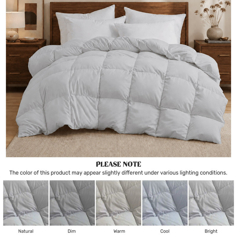  Édredon en fibre de duvet synthétique toutes saisons doux - Insert de couette douillet et moelleux avec pattes de coin pour un ajustement sûr