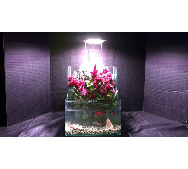 Hydroponic Glass Aquarium with LED Light and Waterfall