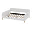 Queen Size Upholstered Daybed With 4 Support Legs-114772136